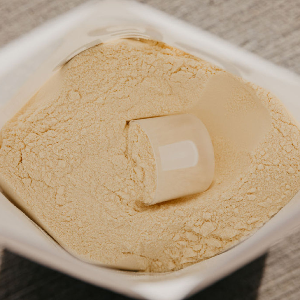 Close up of the inside of a bag of white protein powder with a scoop