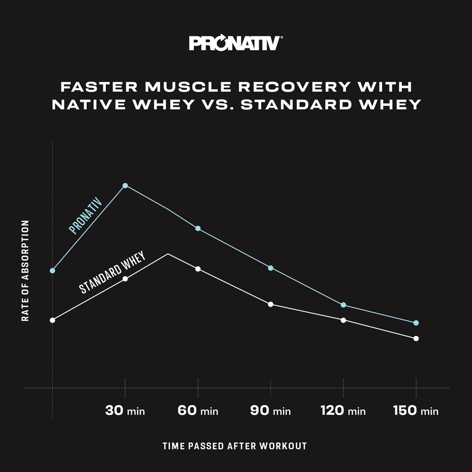 Graph comparing the rate of absorption for Pronativ native whey and standard whey over time after a workout, with Pronativ shown to have faster muscle recovery.